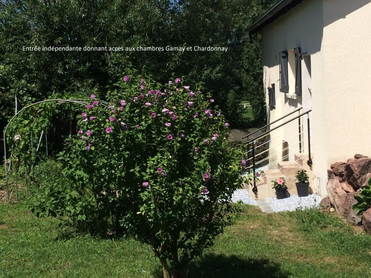 Le Grain De Louise Bed and Breakfast Lancié Exterior foto